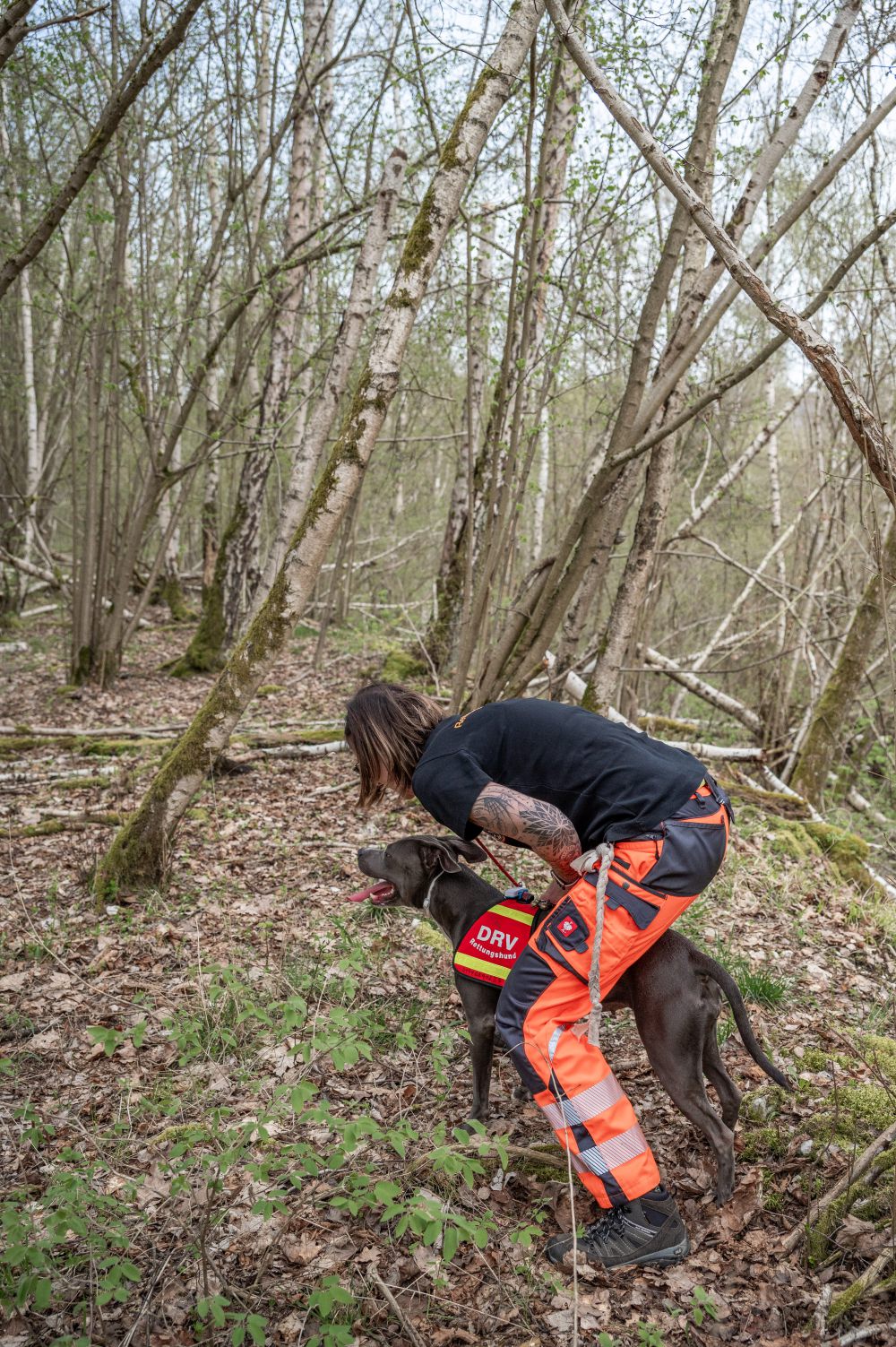 Rettungshundestaffel Teamdogs