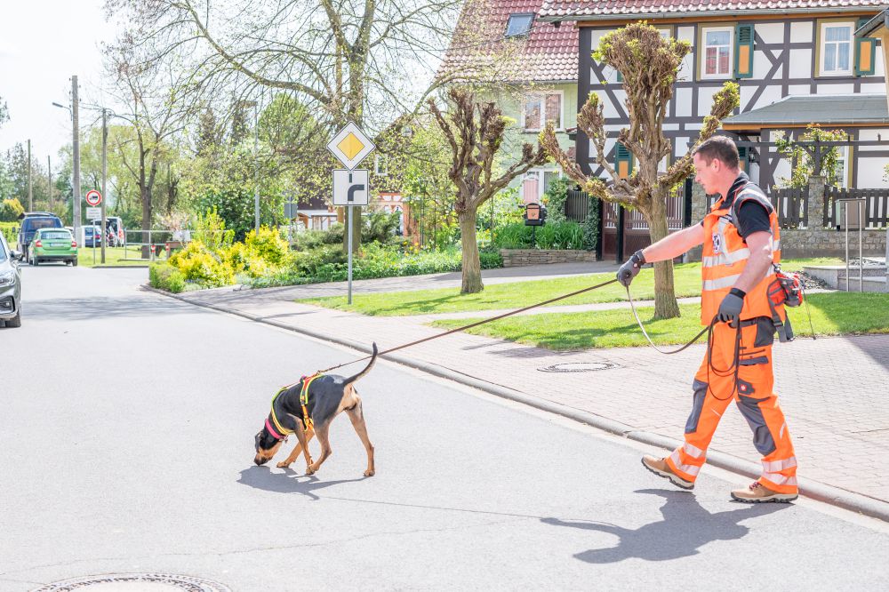 Rettungshundestaffel Teamdogs