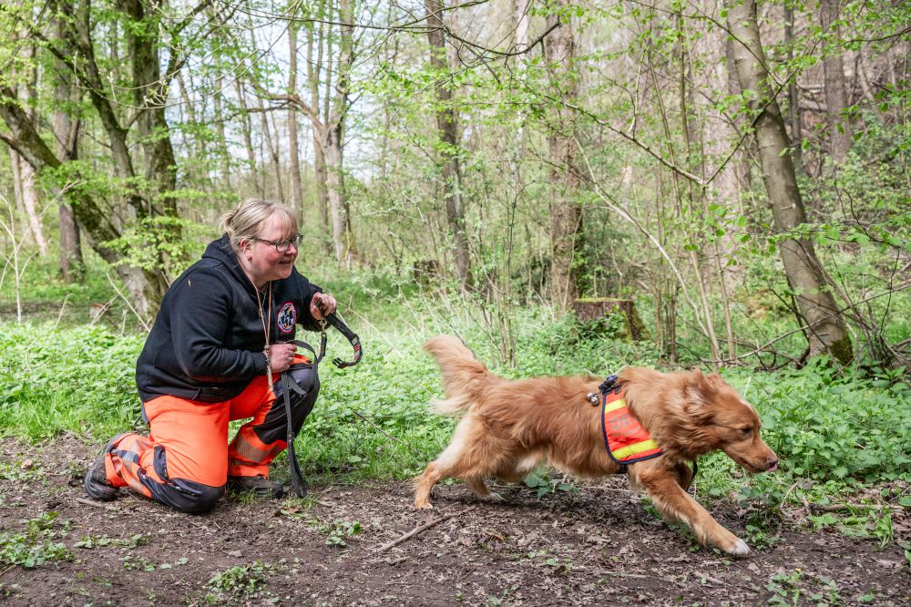 Rettungshundestaffel Teamdogs