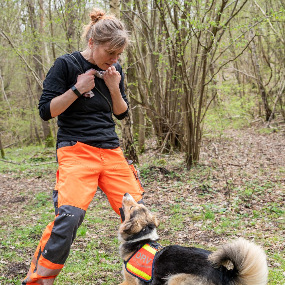 Freundschaft Mensch – Hund