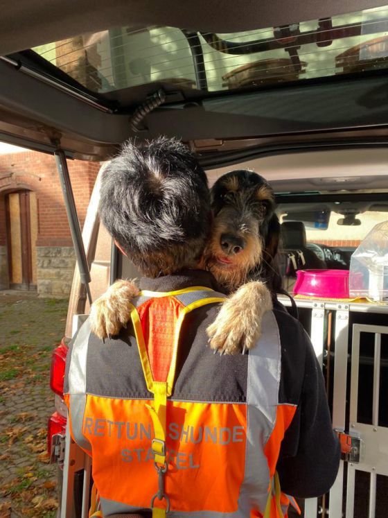Mantrailing-Seminar der RHS Teamdogs