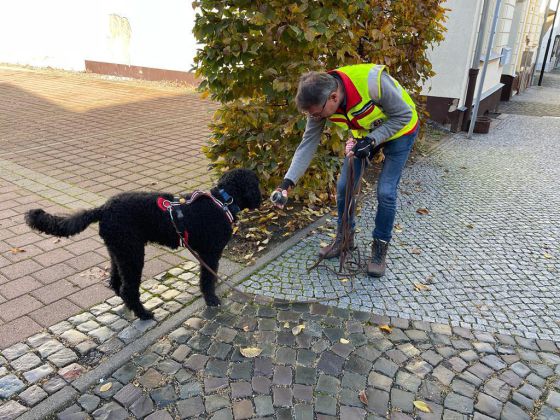 Mantrailing-Seminar der RHS Teamdogs