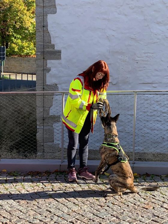 Mantrailing-Seminar der RHS Teamdogs