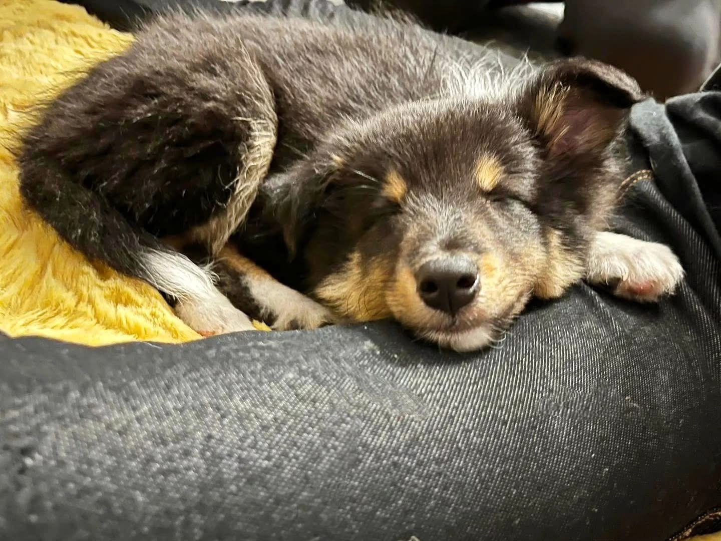 Zuckerschock zum Valentinstag 💘