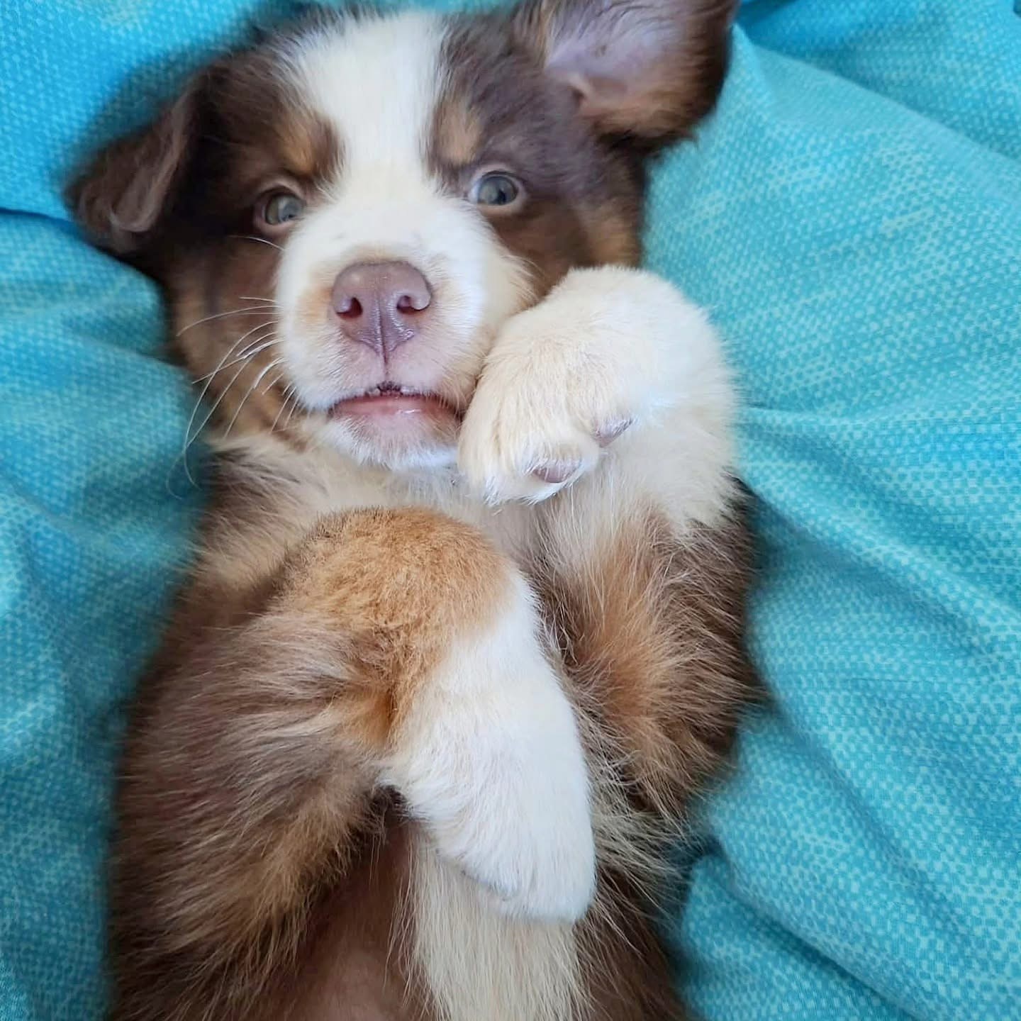 Willkommen Marró 💕