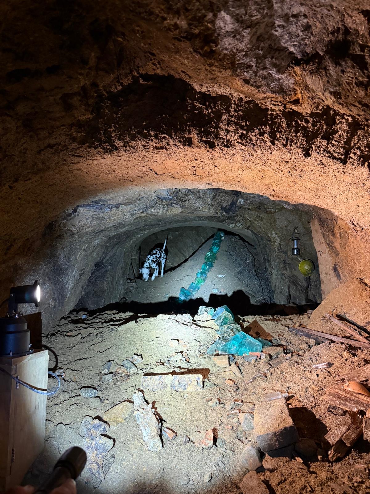 Teamtage des GEV - Trainingswochenende unter Freunden ⛑️🐕‍🦺🐾 